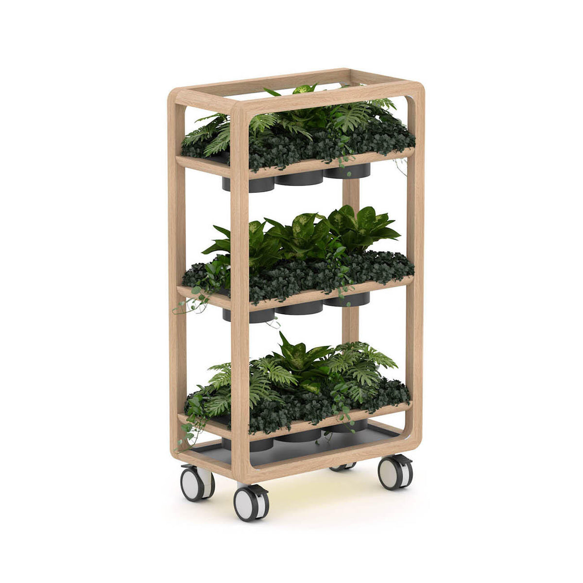 Rover Mobile Planter, 1620mm