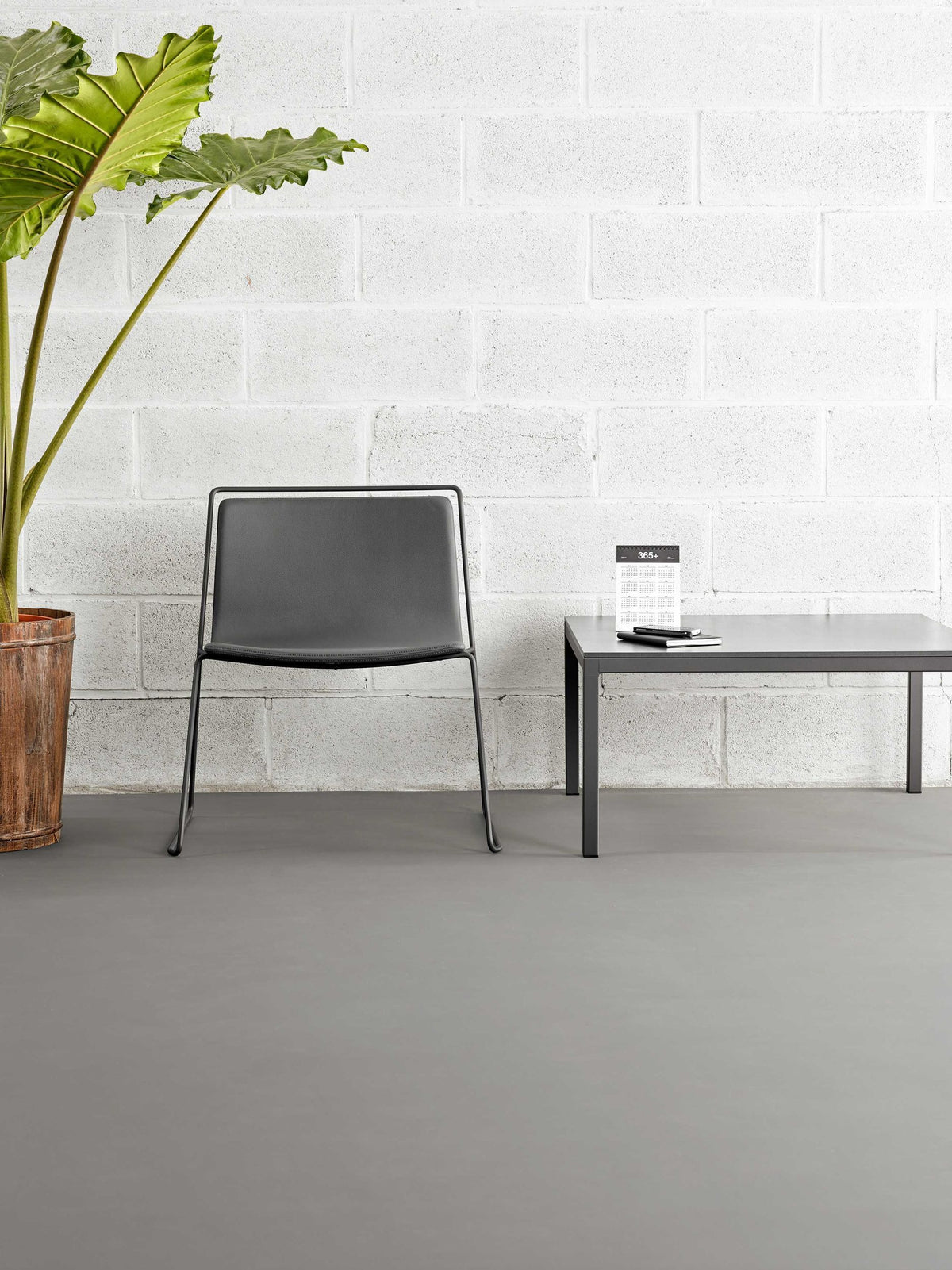 Alo Lounge Chair by Ondarreta, view 8