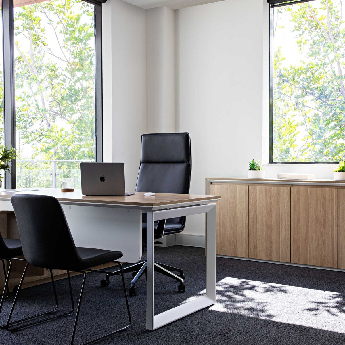 Casa Swing Door Cupboard shown in a workplace setting