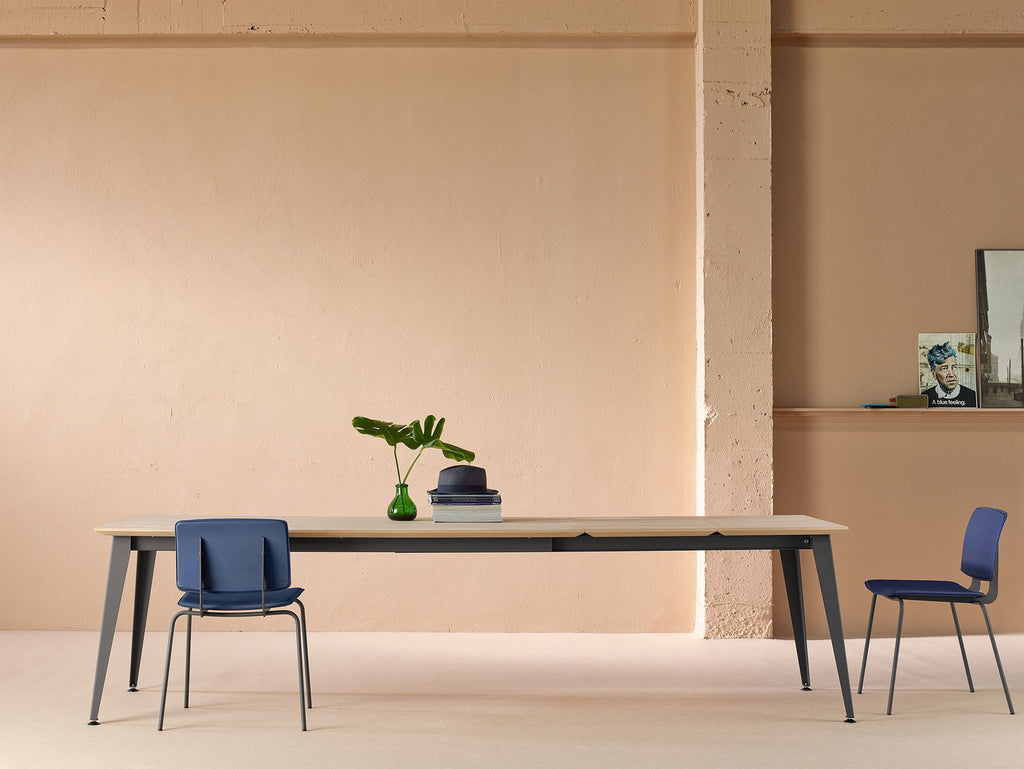 Don Extendable Table by Ondarreta, view 9