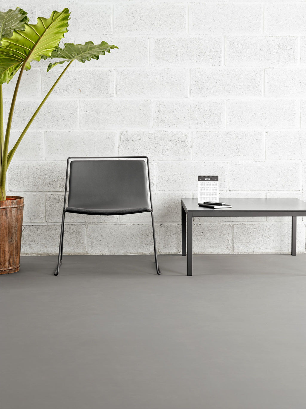 Dry Bench by Ondarreta, view 8