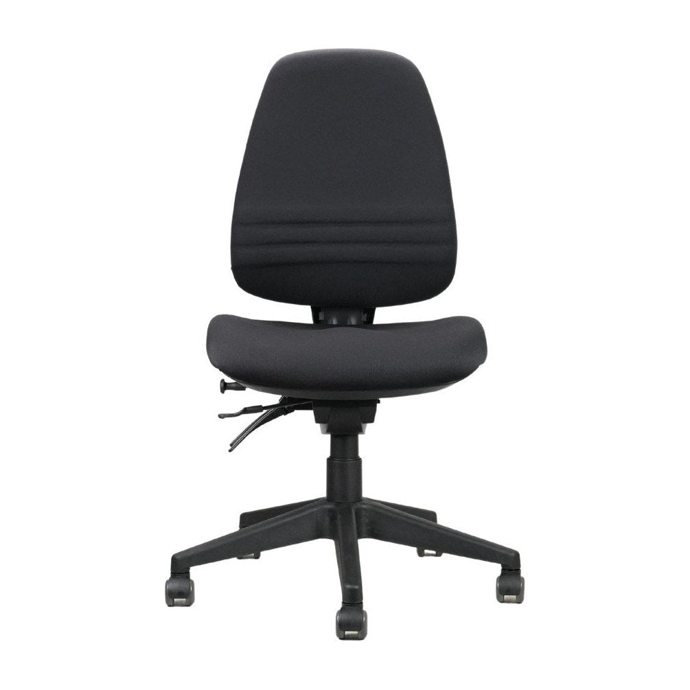 Endeavour Pro Ergo Chair, view 2