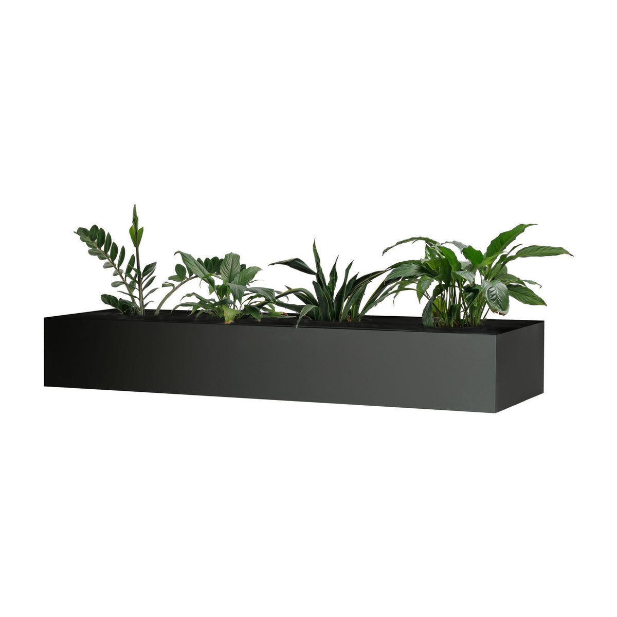 GO Planter Boxes, view 4
