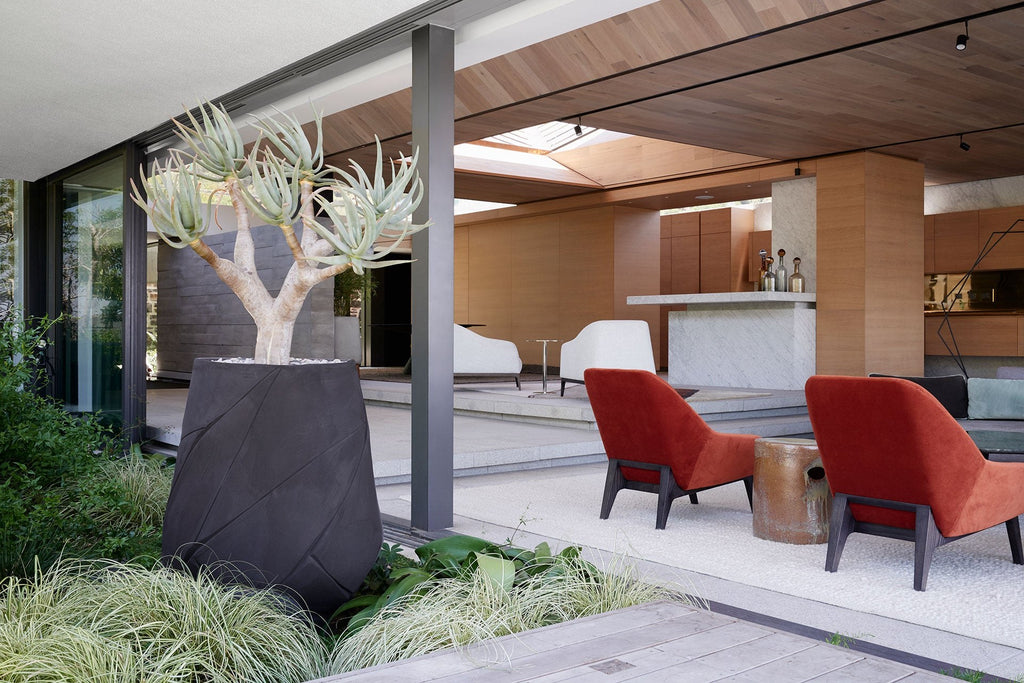 Indigenus Bhaca planter with aloe in a lounge
