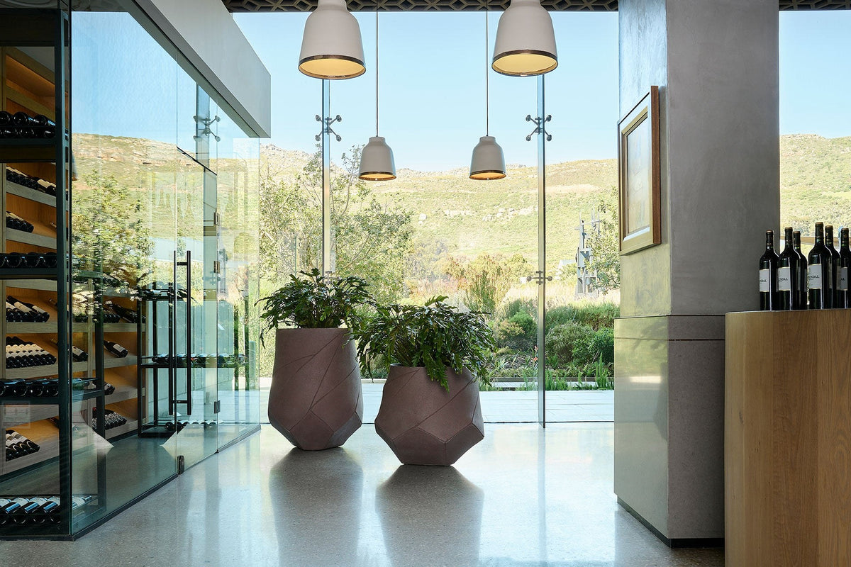 Indigenus Bhaca planters in a wine room