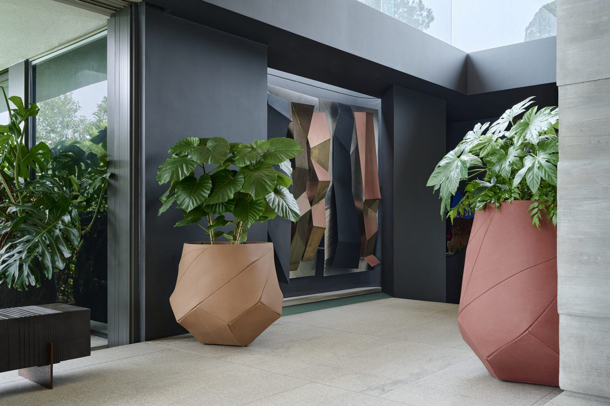 Indigenus Bhaca planters
