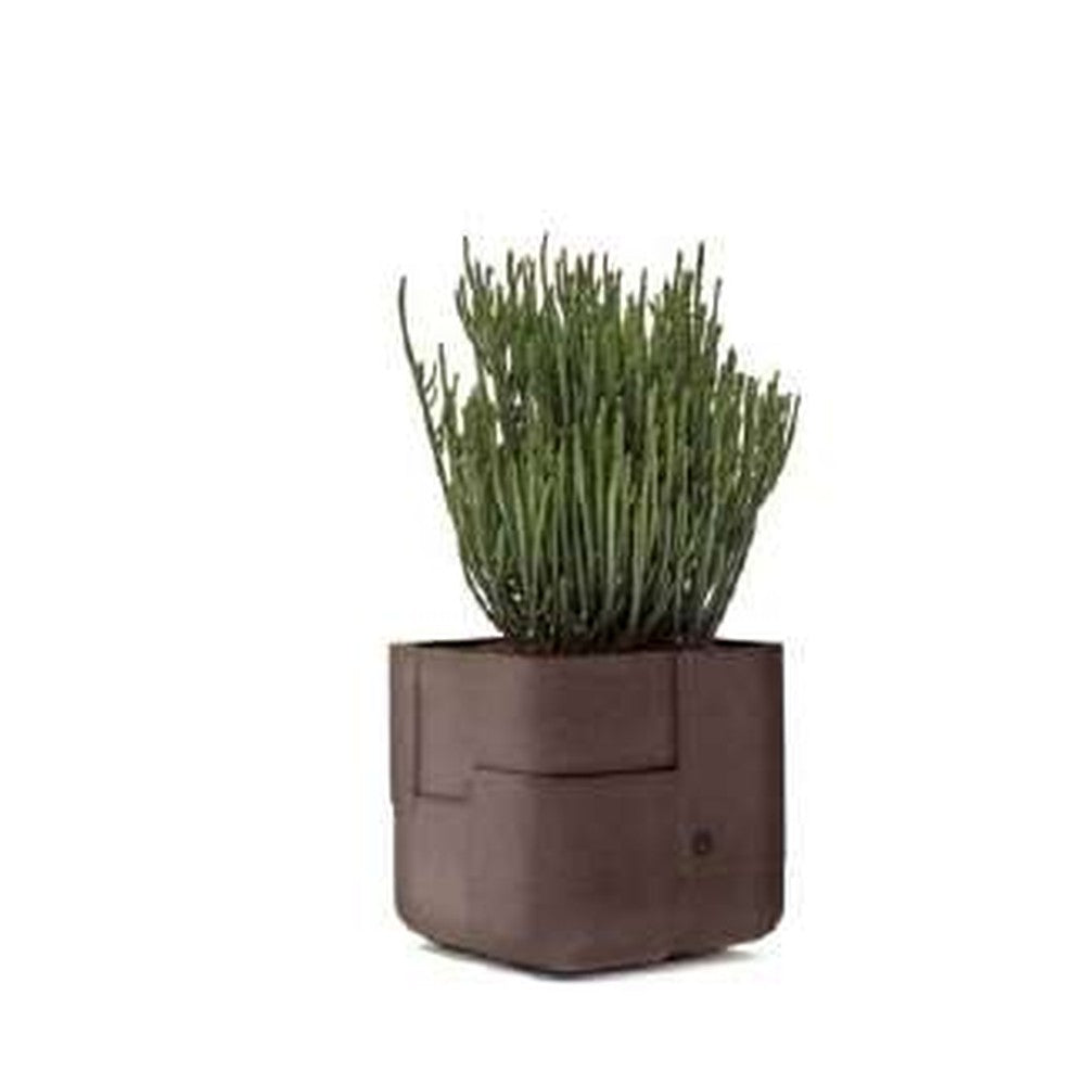 Indigenus planter option AAR04S