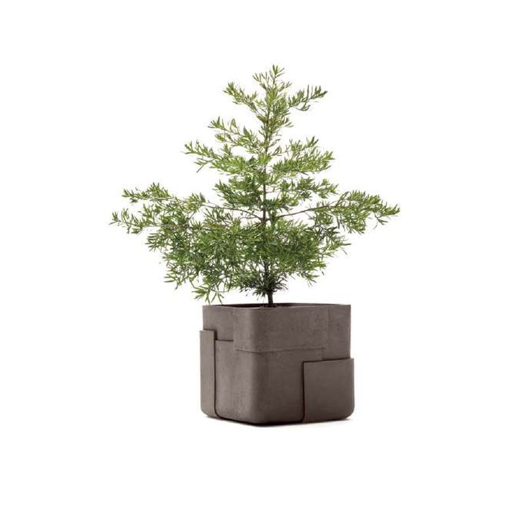 Indigenus planter option AAR06S