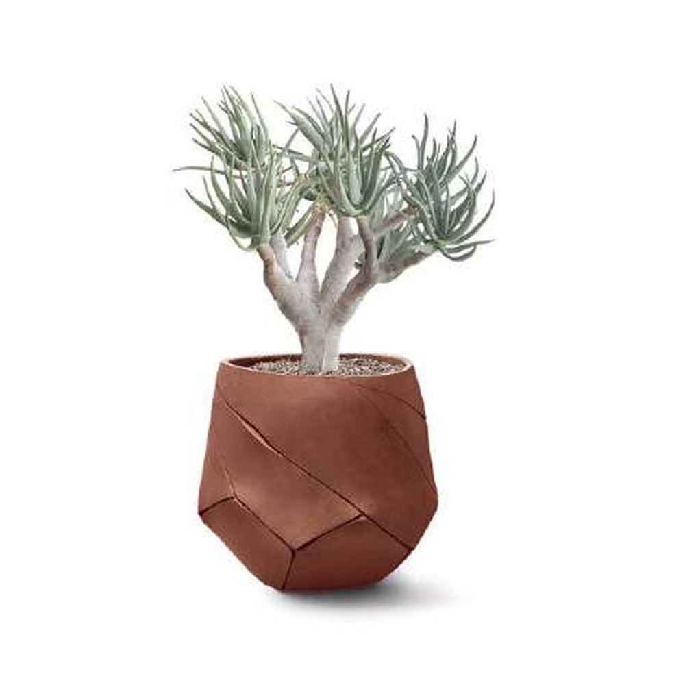 Indigenus planter option BHA06S