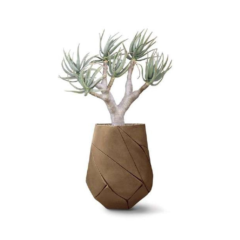 Indigenus planter option BHA09S