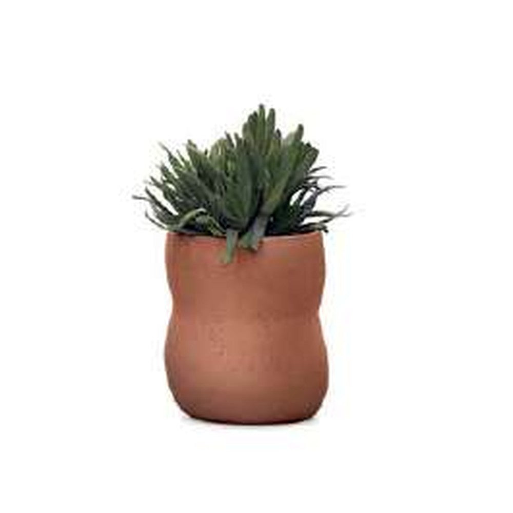 Indigenus planter option PEB05S