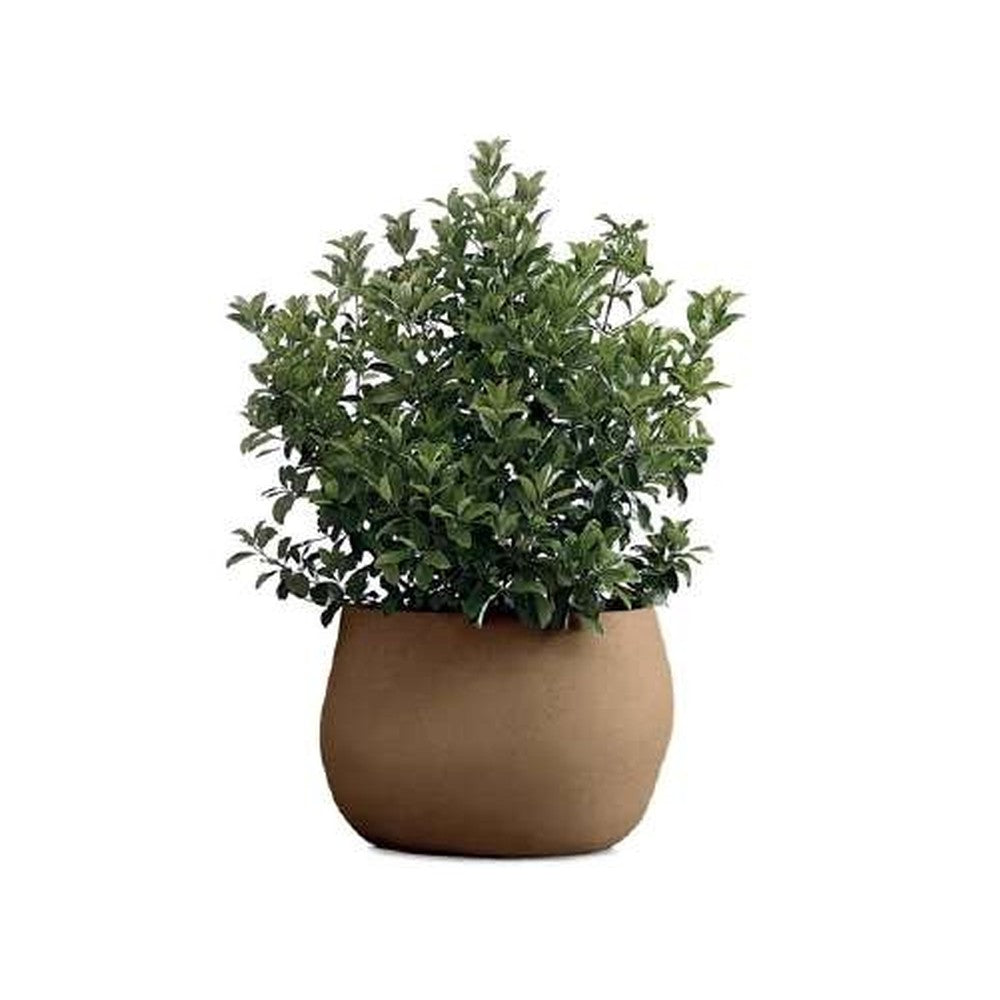 Indigenus planter option PEB06S