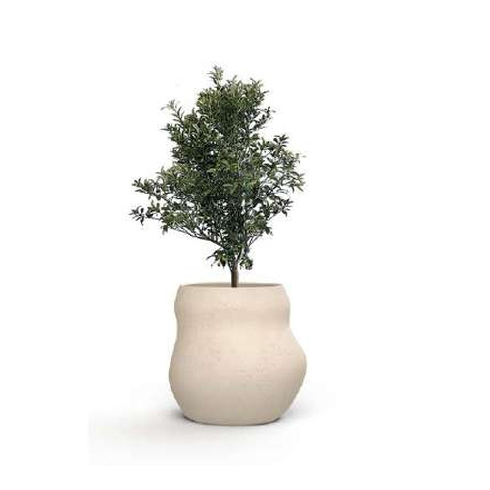 Indigenus planter option PEB07S