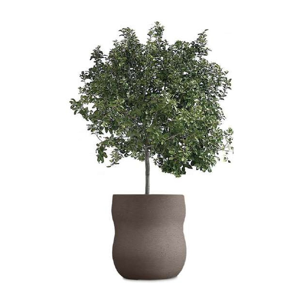 Indigenus planter option PEB09S