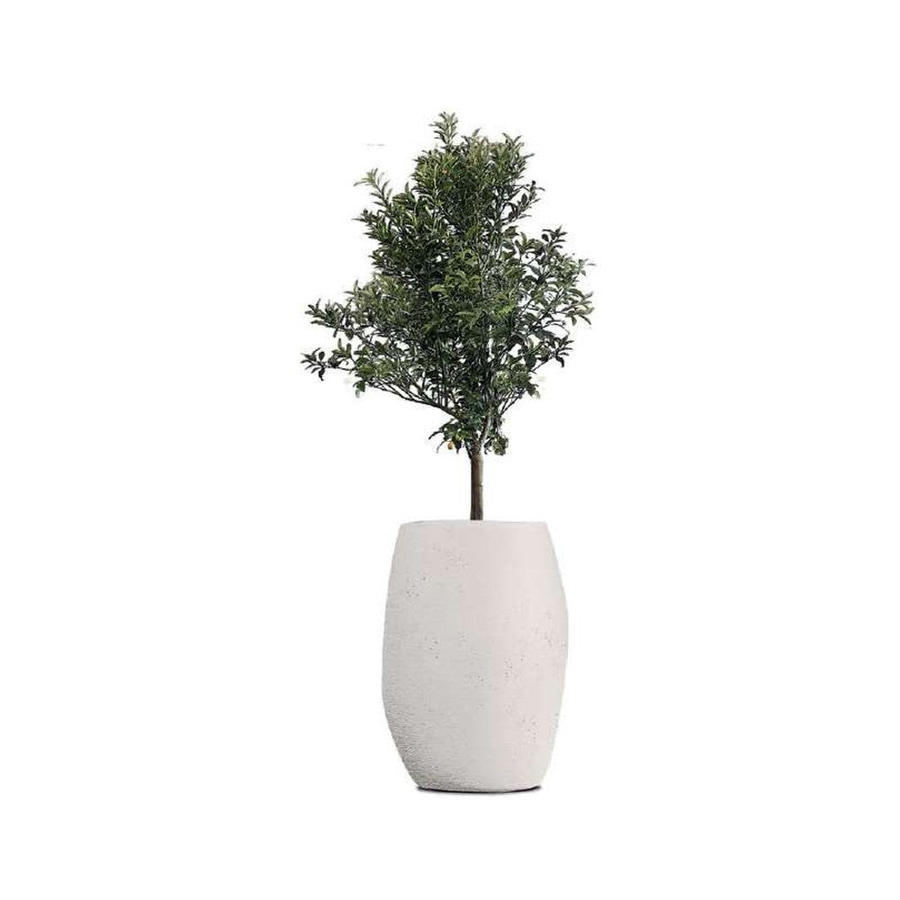 Indigenus planter option PEB12S