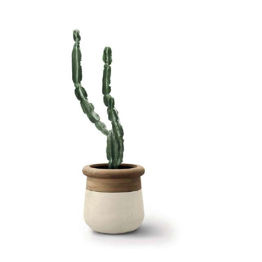 Indigenus planter option SOM07W