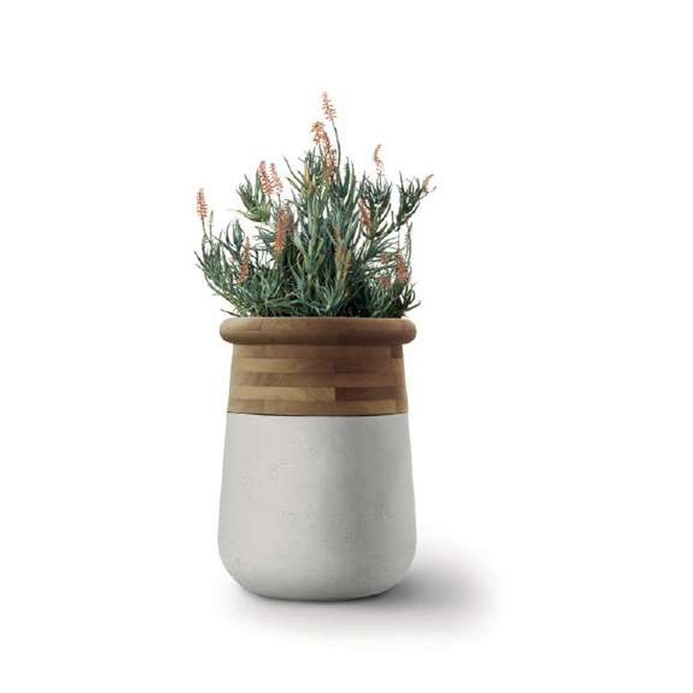 Indigenus planter option SOM10W