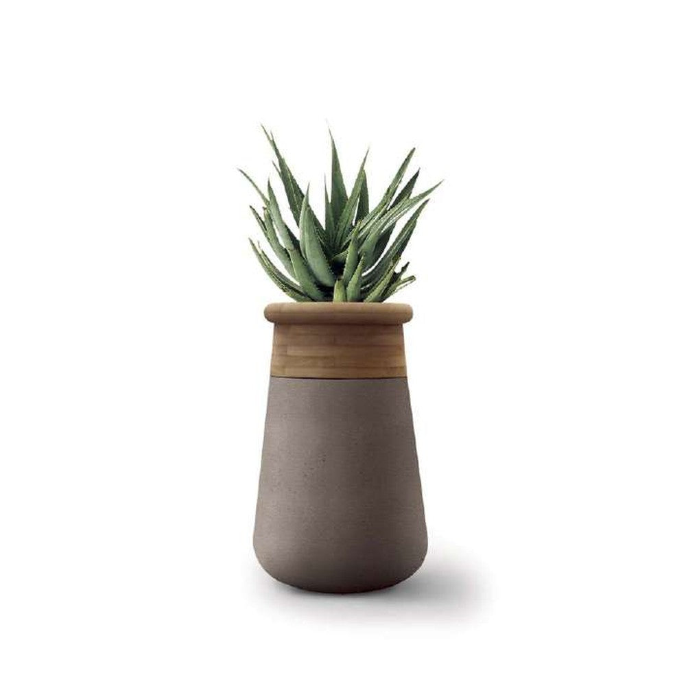 Indigenus planter option SOM13W