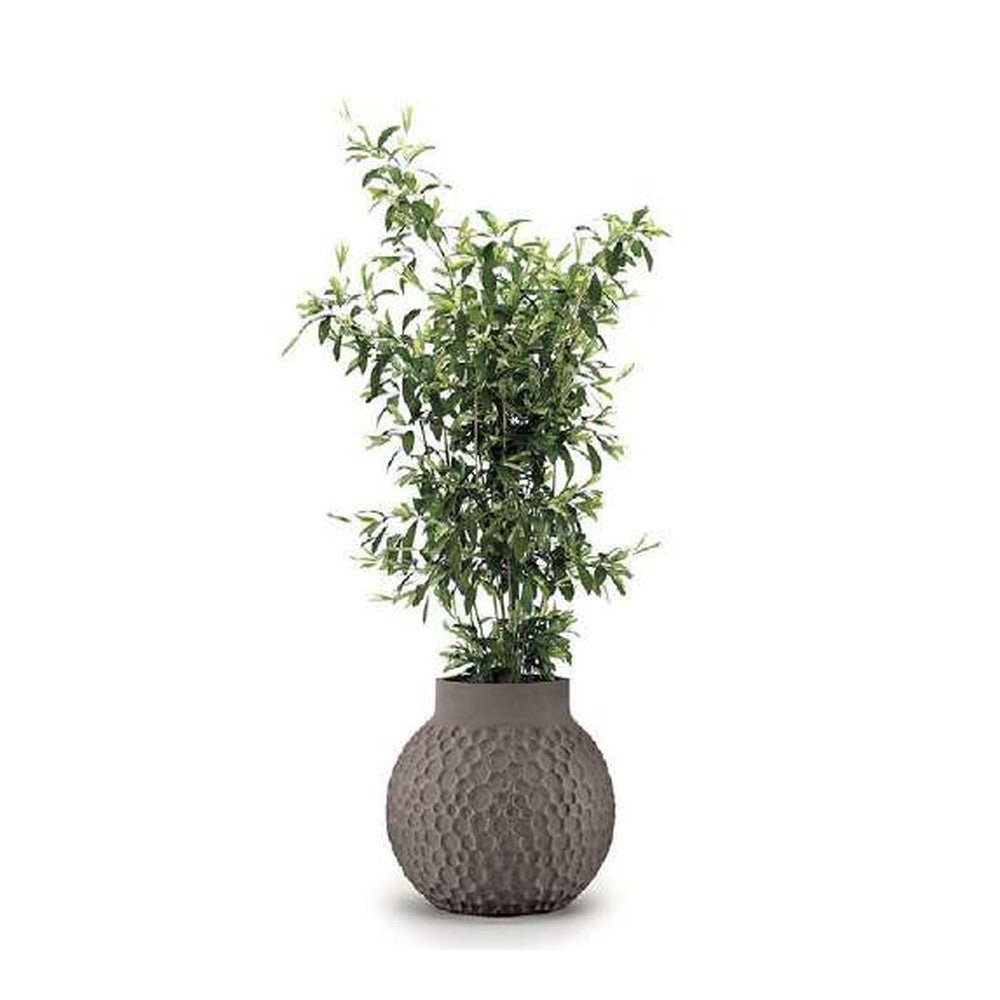 Indigenus planter option STEL07S