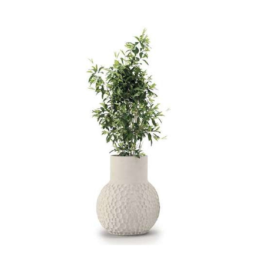 Indigenus planter option STEL08S