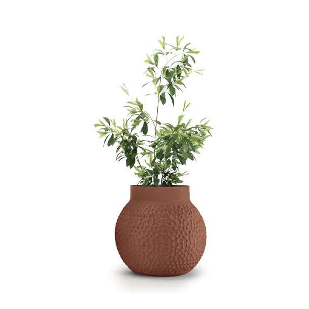 Indigenus planter option STEL09S