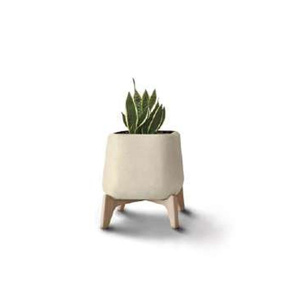 Indigenus planter option TER05W