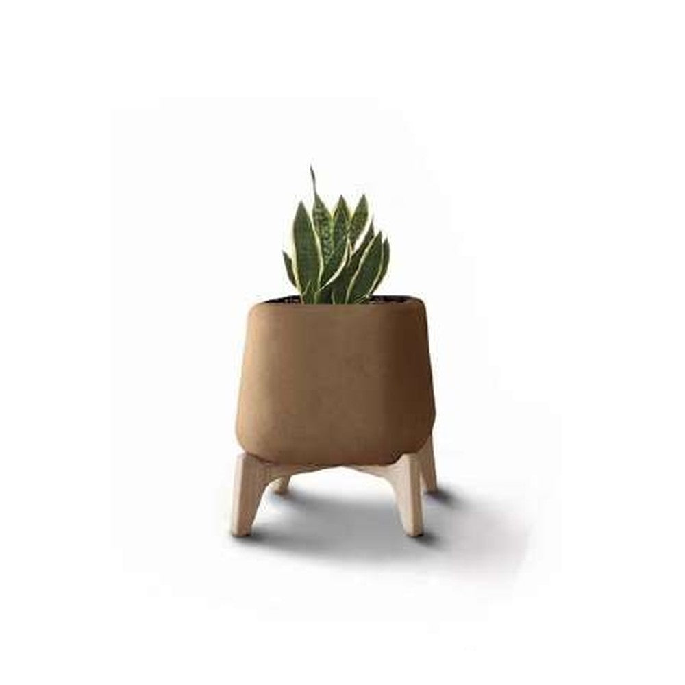 Indigenus planter option TER07W