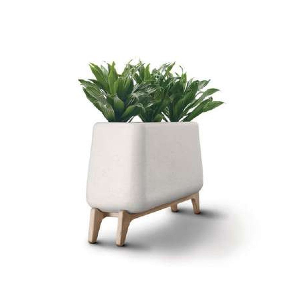 Indigenus planter option TER08W