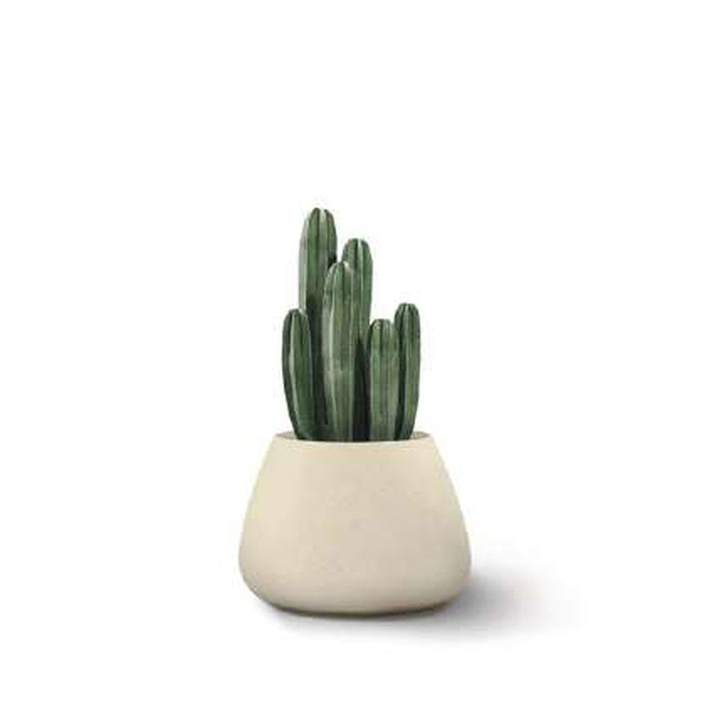 Indigenus planter option TUB04W