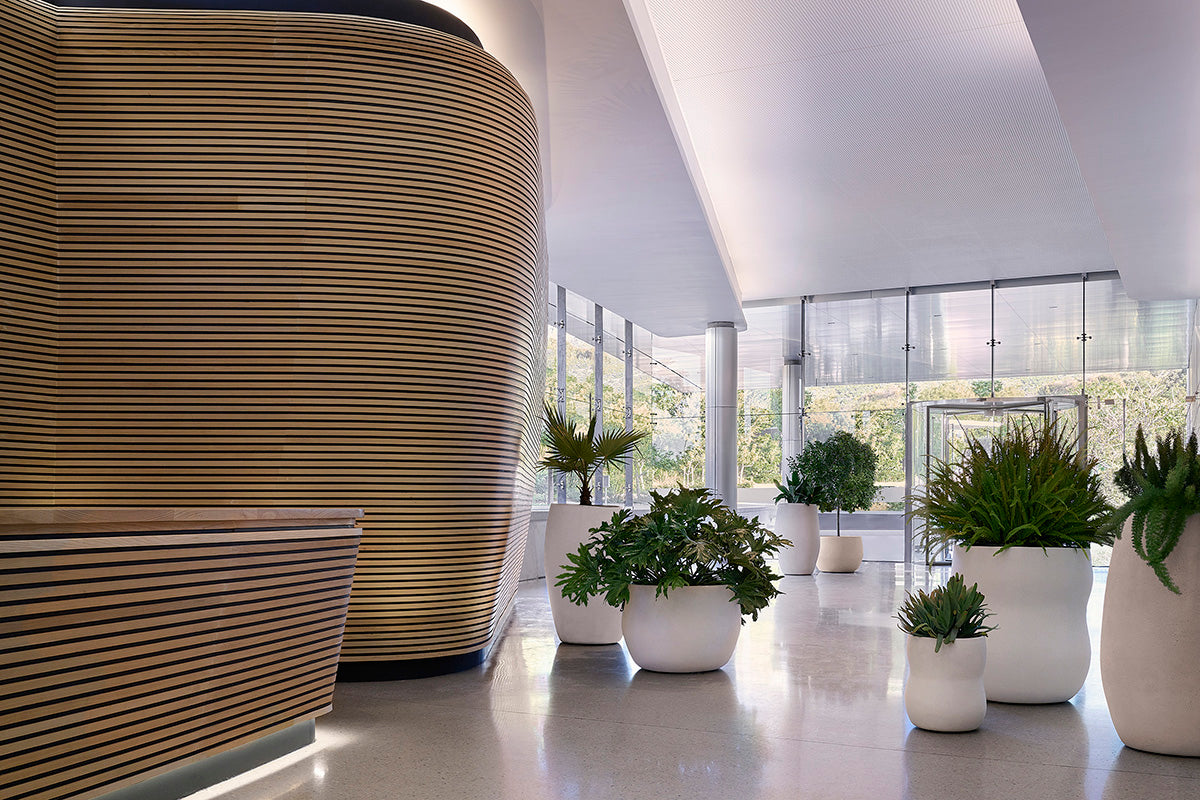 Pebble planters by Indigenus in a landscaped courtyard