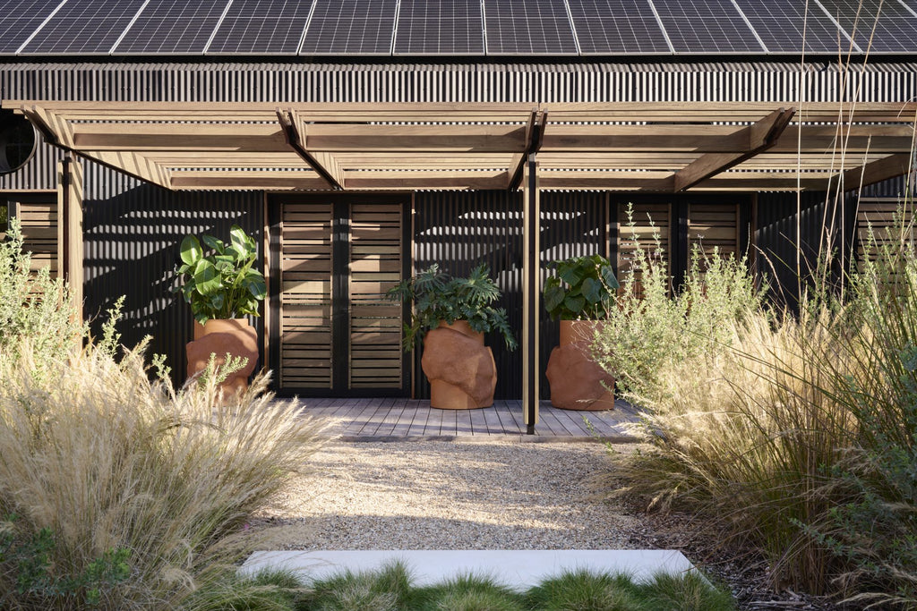Indigenus Petra planters