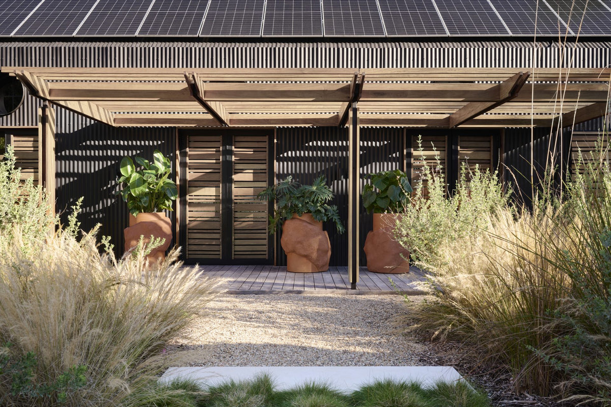 Indigenus Petra planters