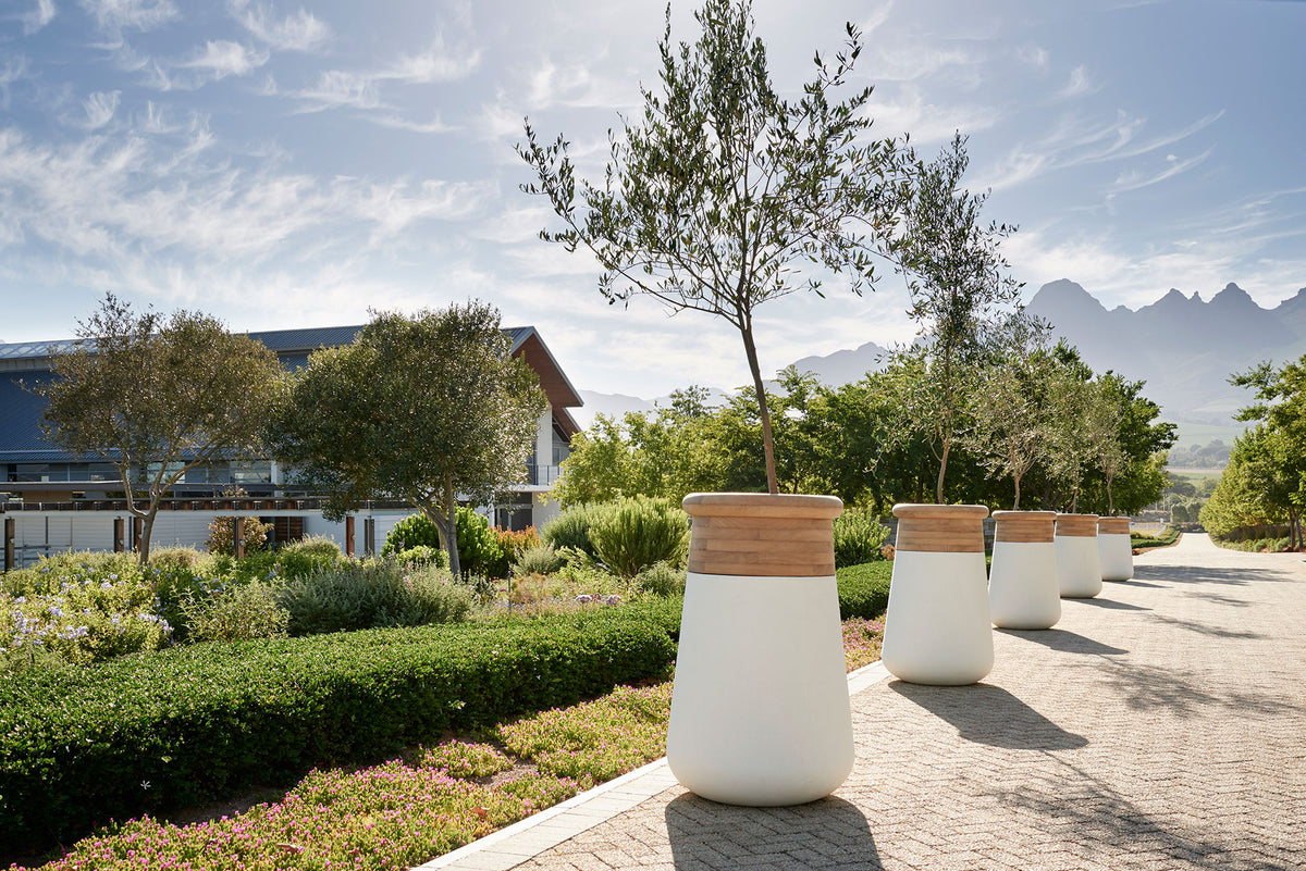 Indigenus Soma planters