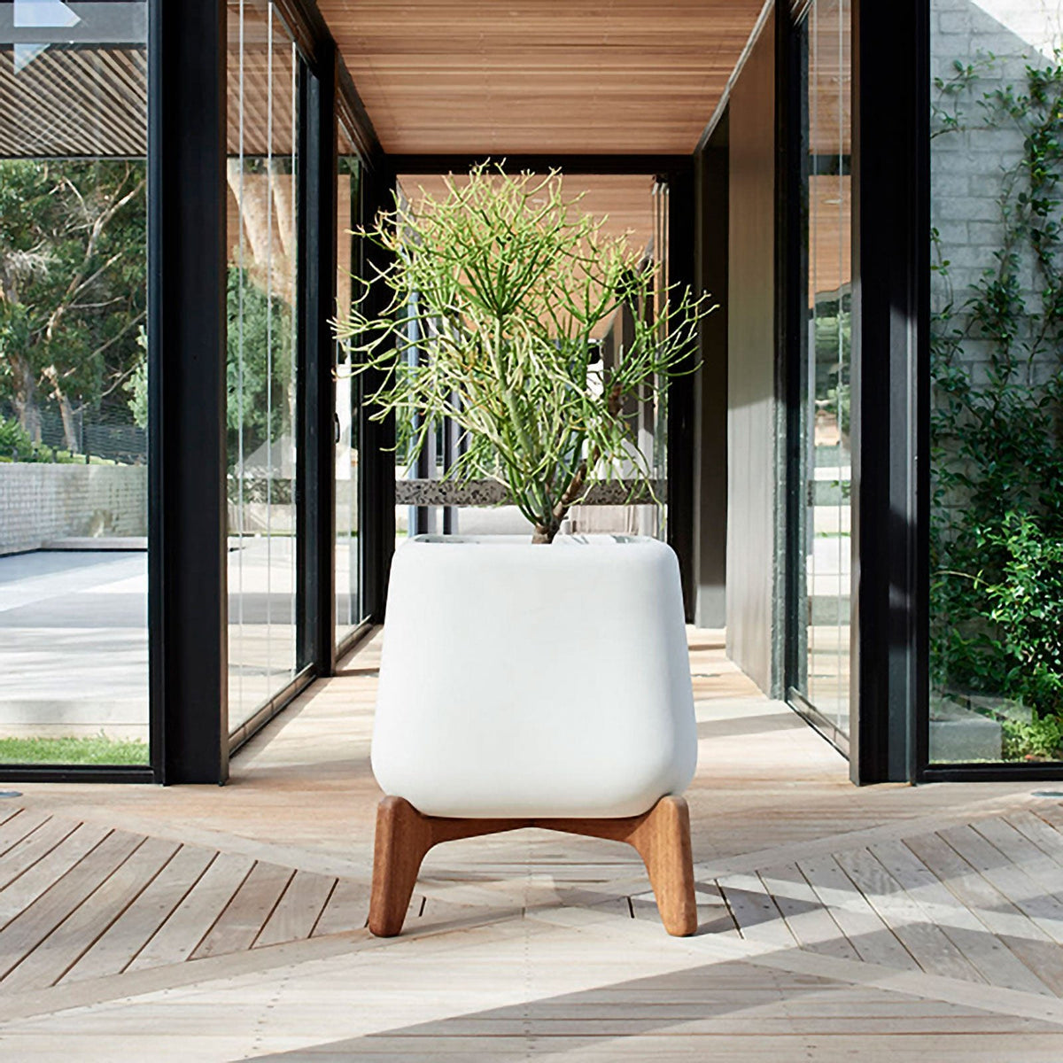 Indigenus Terra tall planter on timber legs