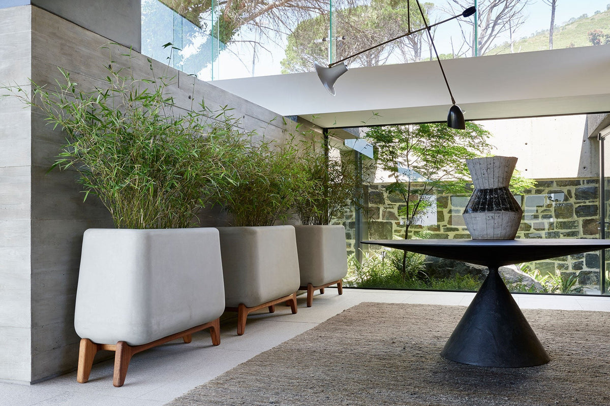 Indigenus Terra trough planters on timber legs in a covered courtyard