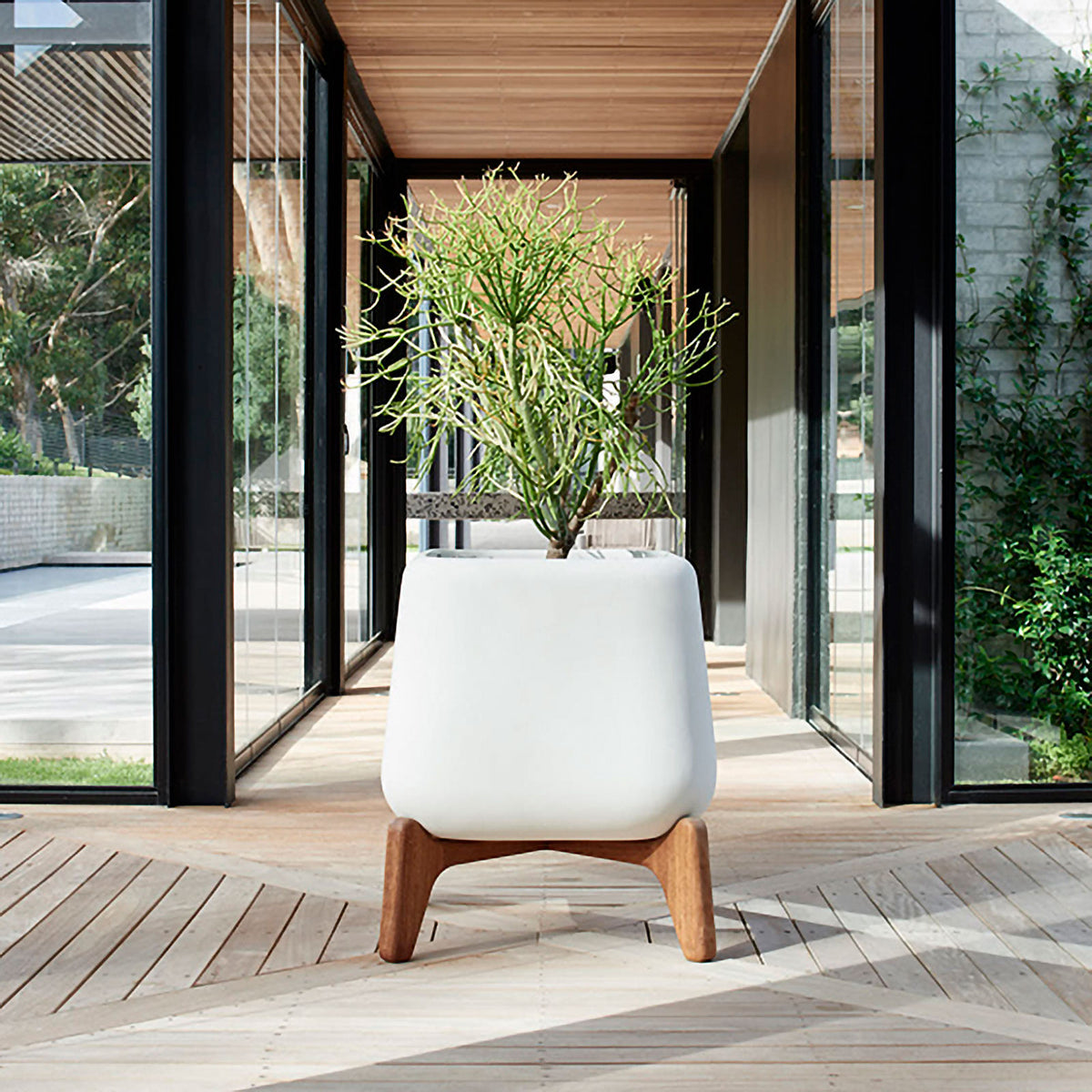 Indigenus Terra planters