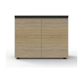 Infinity Swing Door Cupboard