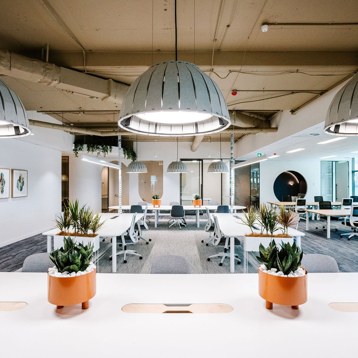 FATI desk planter and hanging cachepot by Klaro Industrial Design (K.I.D), view 2