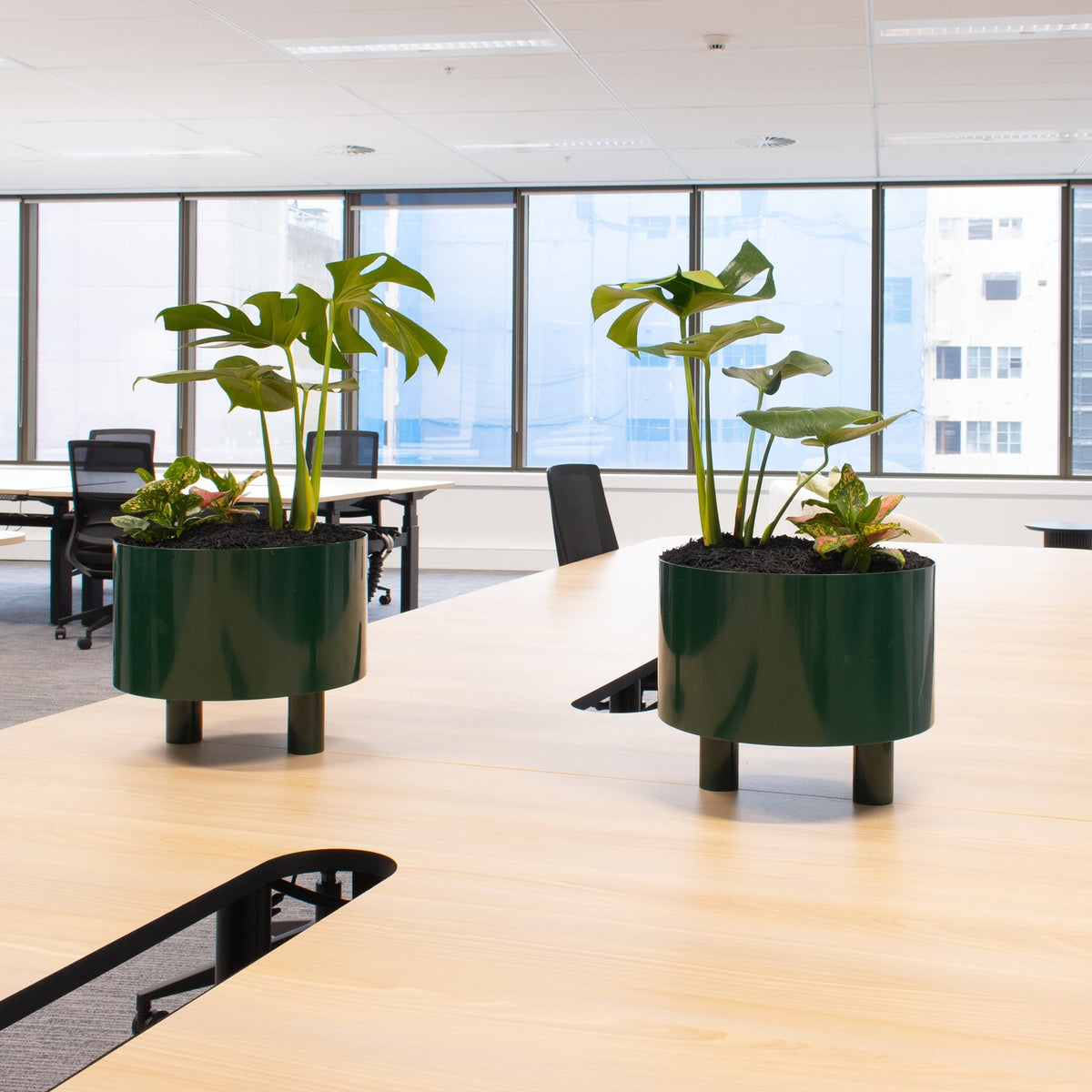 FATI desk planter and hanging cachepot by Klaro Industrial Design (K.I.D), view 3