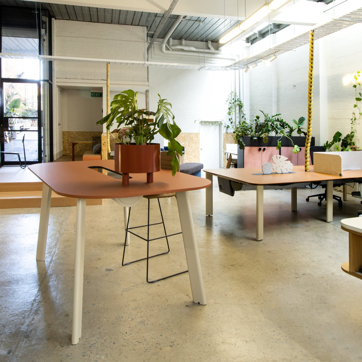 FATI desk planter and hanging cachepot by Klaro Industrial Design (K.I.D), view 4