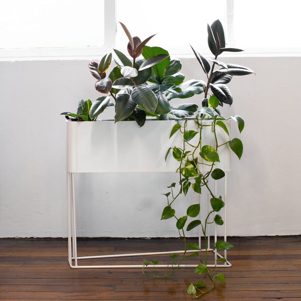 GROVE planter by Klaro Industrial Design (K.I.D), view 4