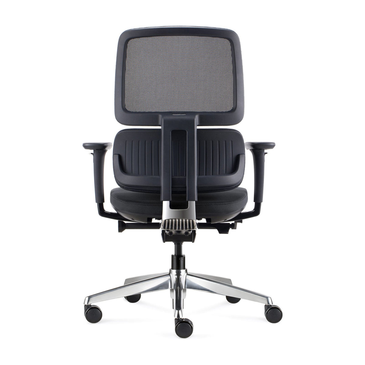 Orca Chair, view 2