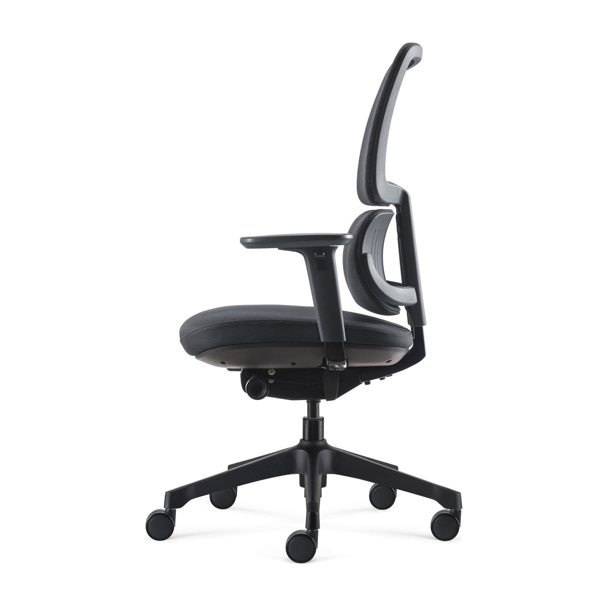 Orca Chair, view 3