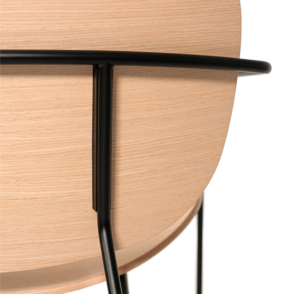 Tondina Lounge Chair, view 6